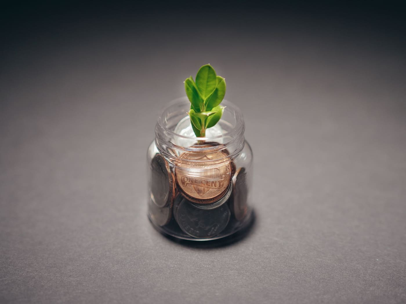 A small green plant sprouting from a clear jar of coins on a grey surface